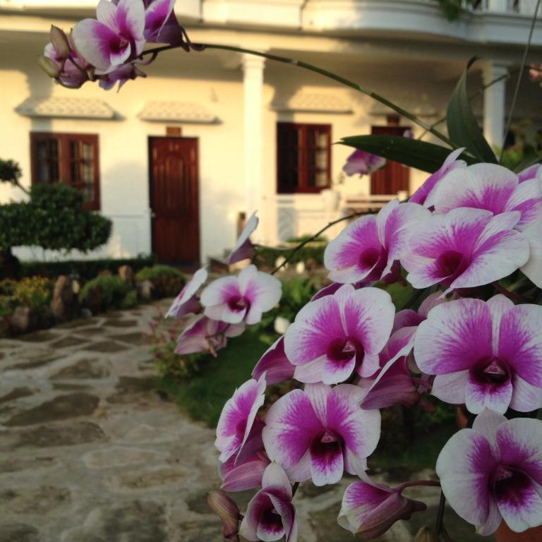 Suncosy Central Hotel Phú Quốc-sziget Kültér fotó